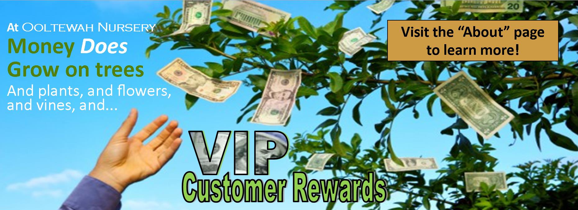 assets/Uploads/VIP-Rewards24.jpg