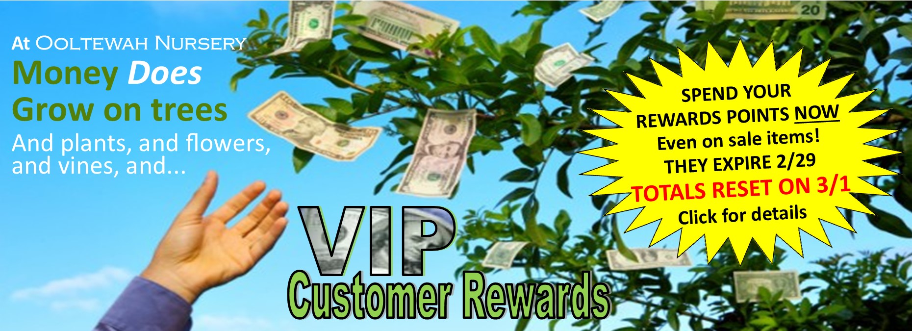 assets/Uploads/VIP-Rewards25.jpg